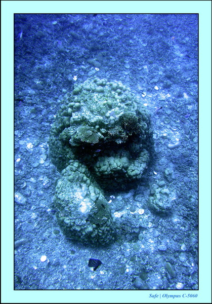 2005 - 08 - Redang  - 200.JPG